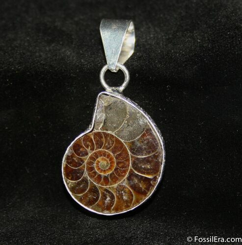 Ammonite Pendant #655